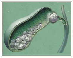 Slider image (4) Adiva | Super Speciality Care